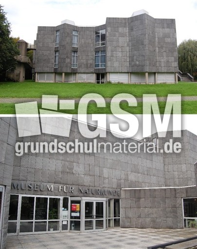 Museum für Naturkunde.jpg